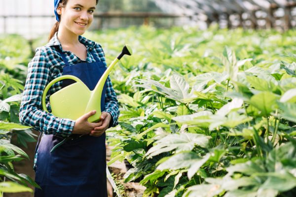 Agriculture