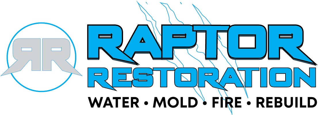 Raptop Restoration